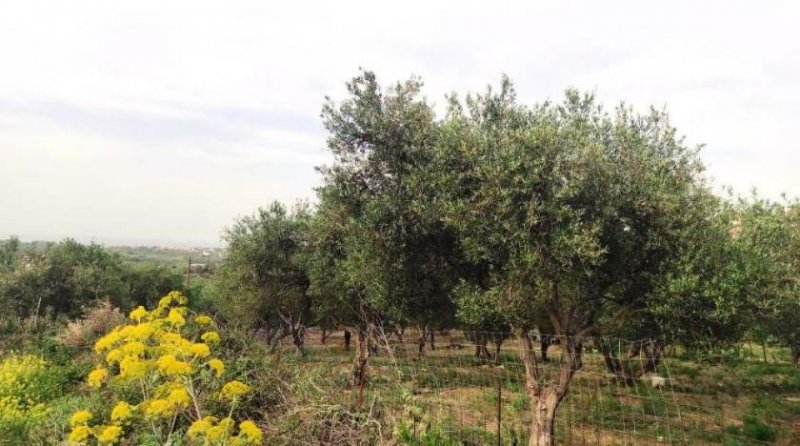 Kavallos Kreta, Kavallos: Grundstück mit Meerblick zu verkaufen Grundstück kaufen